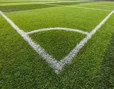 曼联球星怒,斥种族歧视,立即停止,宝威体育官网,APP下载,注册领彩金,官方网站,网站入口