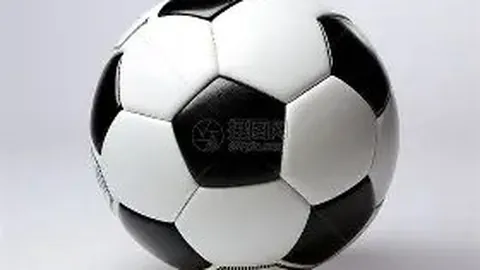 宝威体育 产品 095507 lt8