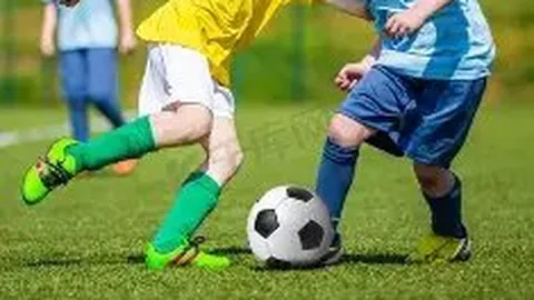 宝威体育 产品 095521 pzn