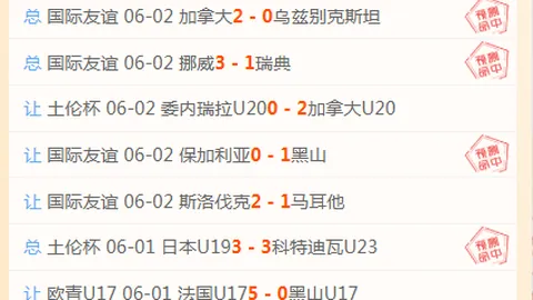 乌兹别克斯坦队不容小觑加拿大对阵乌兹别克斯坦：2026赛季前瞻